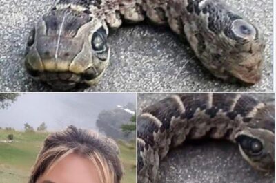 Woman discovers strange snake – like creature – you won’t believe what it really is