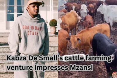 Kabza De Small’s cattle farming venture impresses Mzansi