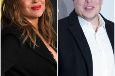 Breaking news, Alyssa Milano Accuses Elon Musk of Being the Cause of Her Career Decline and Financial Crisis