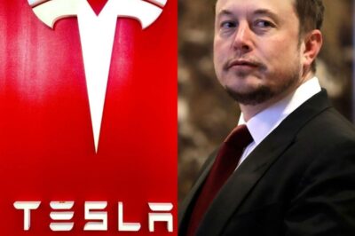 5 MINUTES AGO: Canada makes a bold decision to shut down Tesla and the U.S. auto industry – Elon Musk responds with a sh0cking 8-word message, revealing a hidden truth that leaves the world stunned