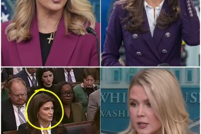 Karoline Leavitt BANS CNN’s Kaitlan Collins from Press Brief after STUPID Question