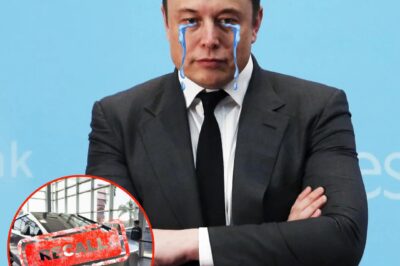 Tens of Thousands of Cybertrucks Recalled: Elon Musk Urged to Take Two Critical Steps to Save His Empire