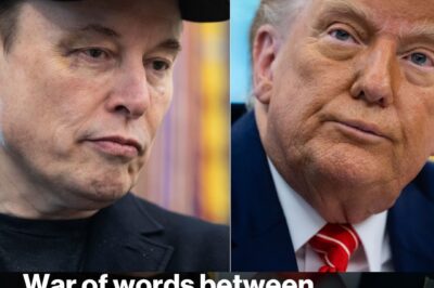 Trump Musk feud explodes with claim president is in Epstein files