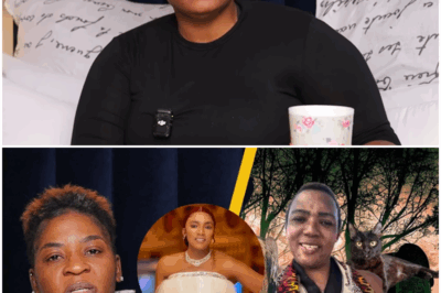 Ok Let’s Finally Address The Manzini Investment Scandal