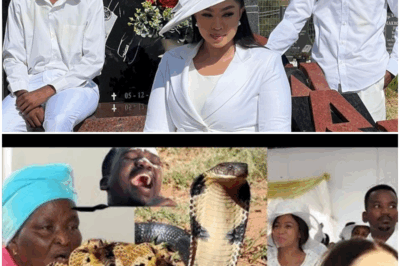 Ayanda Ncwane is Dying slowly, Sfiso Ncwane is Turning in his Grave, Secret Leaked by Sfiso’s mother