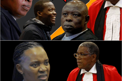 MSHOLOLO TELLS JUDGE RATHA SHUT UP & STOP BEING EMOTIONAL IN COURT.