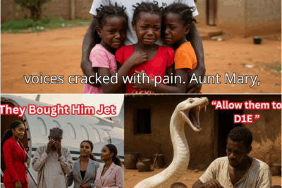 He Adopted Triplet Orphans the whole Village Hated, Years Later they become Billionaires